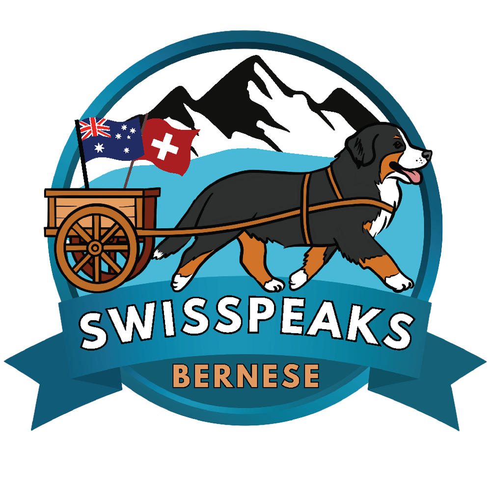 SWISSPEAKS-site-logo