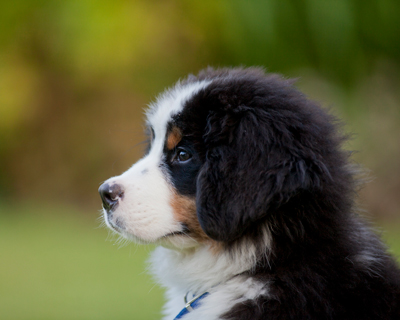 cute-baby